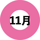 11月