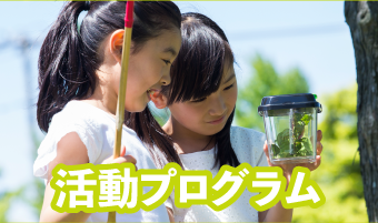 活動プログラム